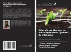 Buchcover von Valor de los abonos con microorganismos fijadores de nitrógeno