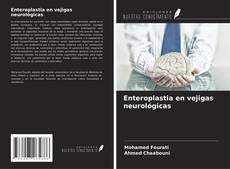 Buchcover von Enteroplastia en vejigas neurológicas