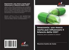 Capa do livro de Amazzonia: una mosca morta può influenzare il bilancio della CO2? 