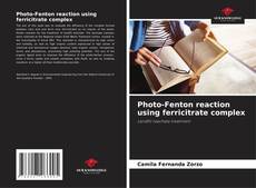 Bookcover of Photo-Fenton reaction using ferricitrate complex
