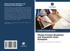 Portada del libro de Photo-Fenton-Reaktion mit Eisen(III)-itrat-Komplex