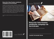 Copertina di Reacción foto-Fenton mediante complejo de ferricitrato