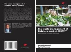 Bio-waste management at Batetela market, KIKWIT kitap kapağı