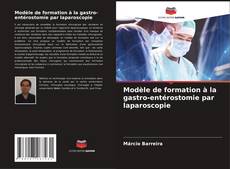 Modèle de formation à la gastro-entérostomie par laparoscopie的封面