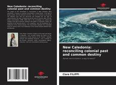 Buchcover von New Caledonia: reconciling colonial past and common destiny