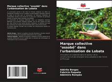 Buchcover von Marque collective "ossobô" dans l'urbanisation de Lobata