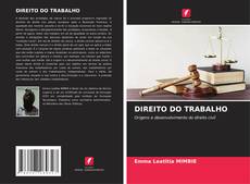 DIREITO DO TRABALHO kitap kapağı