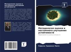 Copertina di Методология оценки и постоянного улучшения устойчивости