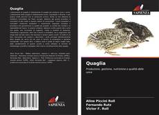 Quaglia kitap kapağı