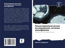 Bookcover of Психотерапевтическое исследование лечения шизофрении