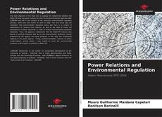 Capa do livro de Power Relations and Environmental Regulation 
