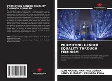 PROMOTING GENDER EQUALITY THROUGH FEMINISM kitap kapağı