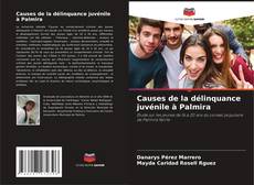 Buchcover von Causes de la délinquance juvénile à Palmira
