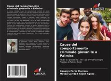 Bookcover of Cause del comportamento criminale giovanile a Palmira