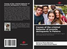 Copertina di Causes of the criminal behavior of juvenile delinquents in Palmira