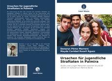 Buchcover von Ursachen für jugendliche Straftaten in Palmira