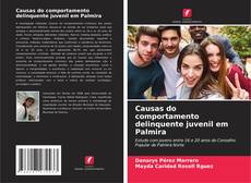 Bookcover of Causas do comportamento delinquente juvenil em Palmira
