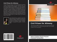 Borítókép a  Civil Prison for Alimony - hoz