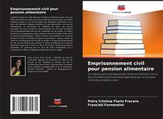 Emprisonnement civil pour pension alimentaire kitap kapağı