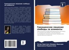 Bookcover of Гражданское лишение свободы за алименты