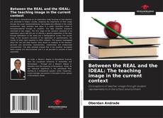 Portada del libro de Between the REAL and the IDEAL: The teaching image in the current context