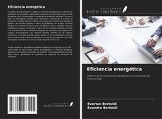 Eficiencia energética kitap kapağı