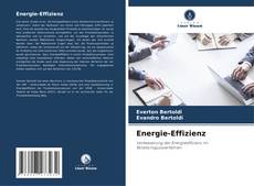Обложка Energie-Effizienz