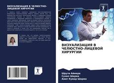 Buchcover von ВИЗУАЛИЗАЦИЯ В ЧЕЛЮСТНО-ЛИЦЕВОЙ ХИРУРГИИ