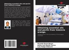 Capa do livro de Obtaining essential oils and pectin from Valencia orange. 