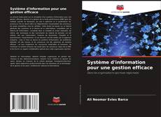 Buchcover von Système d'information pour une gestion efficace