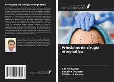 Bookcover of Principios de cirugía ortognática