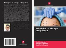 Buchcover von Princípios da cirurgia ortognática