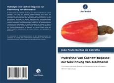 Обложка Hydrolyse von Cashew-Bagasse zur Gewinnung von Bioethanol