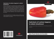 Capa do livro de Hydrolysis of cashew bagasse to obtain bioethanol 