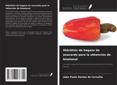 Bookcover of Hidrólisis de bagazo de anacardo para la obtención de bioetanol