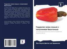 Bookcover of Гидролиз жома кешью с получением биоэтанола