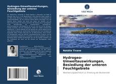Bookcover of Hydrogeo-Umweltauswirkungen, Besiedlung der unteren Feuchtgebiete