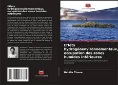 Borítókép a  Effets hydrogéoenvironnementaux, occupation des zones humides inférieures - hoz