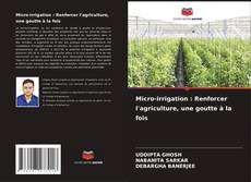 Bookcover of Micro-irrigation : Renforcer l'agriculture, une goutte à la fois