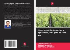 Buchcover von Micro Irrigação: Capacitar a agricultura, uma gota de cada vez