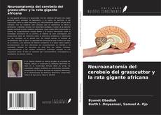 Обложка Neuroanatomía del cerebelo del grasscutter y la rata gigante africana