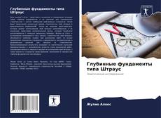 Bookcover of Глубинные фундаменты типа Штраус