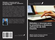 Bookcover of Métodos y recursos para la enseñanza a distancia: utilización de AVA Chamilo