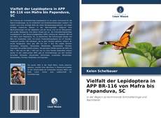 Bookcover of Vielfalt der Lepidoptera in APP BR-116 von Mafra bis Papanduva, SC