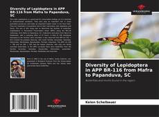 Couverture de Diversity of Lepidoptera in APP BR-116 from Mafra to Papanduva, SC