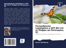 Buchcover von Разнообразие Lepidoptera в APP BR-116 от Мафры до Папандувы, SC