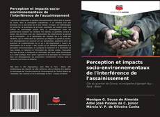 Buchcover von Perception et impacts socio-environnementaux de l'interférence de l'assainissement