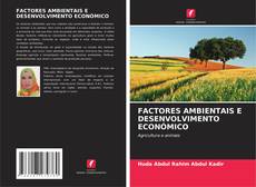 FACTORES AMBIENTAIS E DESENVOLVIMENTO ECONÓMICO kitap kapağı