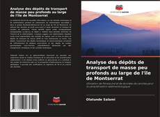 Portada del libro de Analyse des dépôts de transport de masse peu profonds au large de l'île de Montserrat