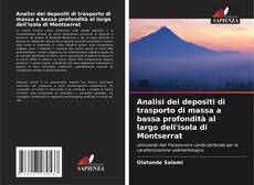 Capa do livro de Analisi dei depositi di trasporto di massa a bassa profondità al largo dell'isola di Montserrat 